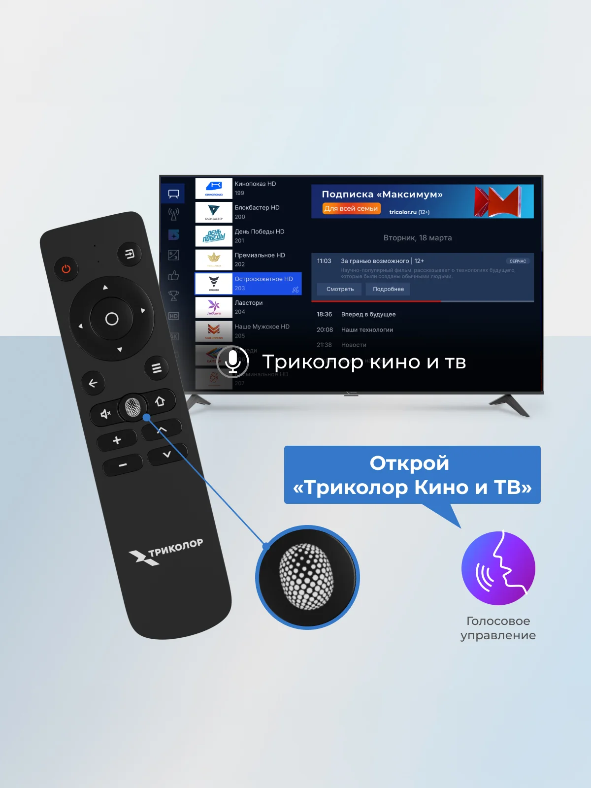 Телевизор Триколор P55QH701, SMART TV, 55", QLED, 4K — изображение 5